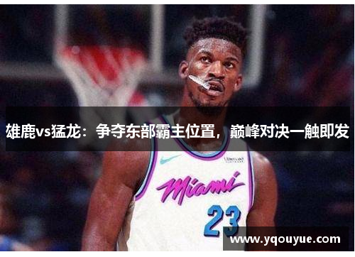 雄鹿vs猛龙：争夺东部霸主位置，巅峰对决一触即发